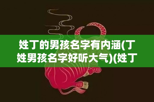 姓丁的男孩名字有内涵(丁姓男孩名字好听大气)(姓丁的男孩叫什么名字好)