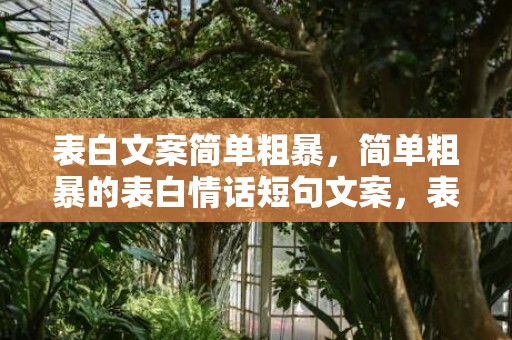 表白文案简单粗暴，简单粗暴的表白情话短句文案，表白的文案短句