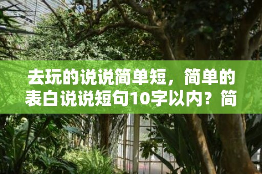 去玩的说说简单短，简单的表白说说短句10字以内？简短表白十个字