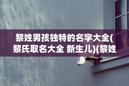 黎姓男孩独特的名字大全(黎氏取名大全 新生儿)(黎姓男孩独特的名字四个字)