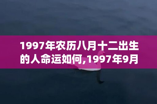 1997年农历八月十二出生的人命运如何,1997年9月13日今日生辰八字解析(1997年农历八月初十是什么星座)