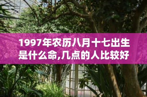 1997年农历八月十七出生是什么命,几点的人比较好命(1997年农历八月初九是什么星座)