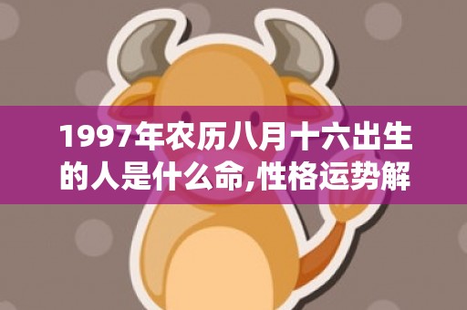 1997年农历八月十六出生的人是什么命,性格运势解析(1997年农历八月二十是什么星座)