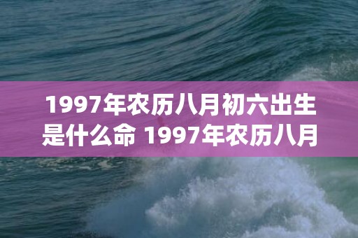 1997年农历八月初六出生是什么命 1997年农历八月初六出生的人命运如何(1997年农历八月二十)