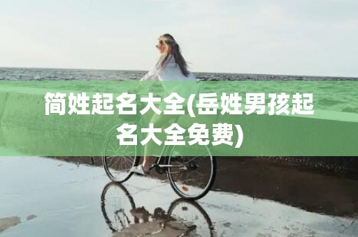 简姓起名大全(岳姓男孩起名大全免费)