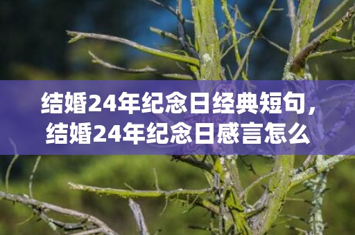 结婚24年纪念日经典短句，结婚24年纪念日感言怎么写好(结婚三周年纪念日感言)