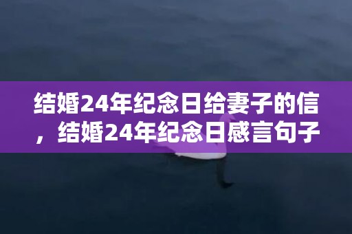 结婚24年纪念日给妻子的信，结婚24年纪念日感言句子简短 纪念日简单句子