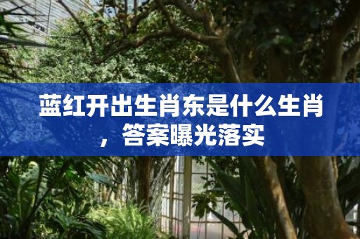 蓝红开出生肖东是什么生肖，答案曝光落实