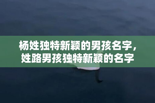 杨姓独特新颖的男孩名字，姓路男孩独特新颖的名字