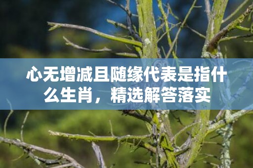 心无增减且随缘代表是指什么生肖，精选解答落实