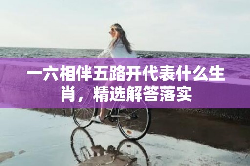 一六相伴五路开代表什么生肖，精选解答落实