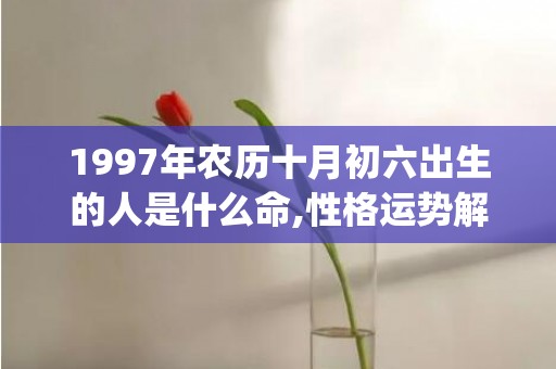 1997年农历十月初六出生的人是什么命,性格运势解析(1997年农历十月初七是什么星座)