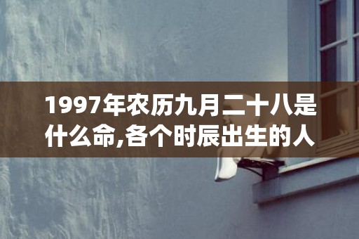 1997年农历九月二十八是什么命,各个时辰出生的人的命运(1997年农历九月初九是什么星座)