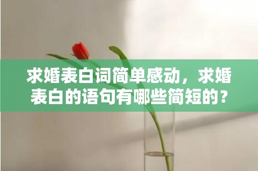 求婚表白词简单感动，求婚表白的语句有哪些简短的？祝求婚成功的经典语录