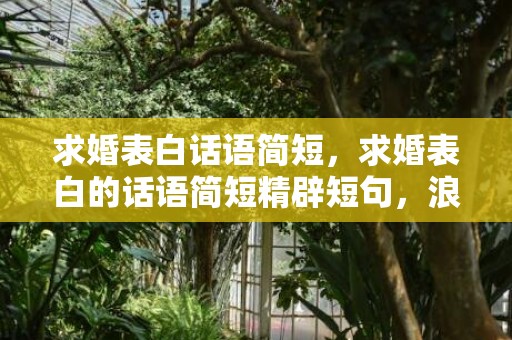 求婚表白话语简短，求婚表白的话语简短精辟短句，浪漫求婚表白的语句