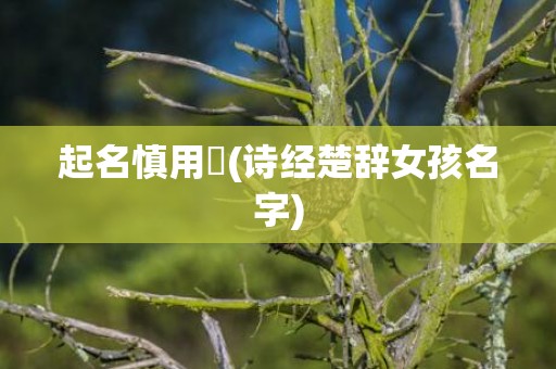 起名慎用玥(诗经楚辞女孩名字)