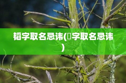 韬字取名忌讳(芃字取名忌讳)