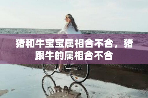 猪和牛宝宝属相合不合，猪跟牛的属相合不合