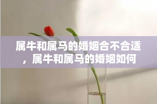 属牛和属马的婚姻合不合适，属牛和属马的婚姻如何