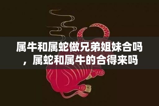 属牛和属蛇做兄弟姐妹合吗，属蛇和属牛的合得来吗