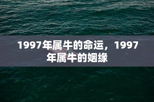 1997年属牛的命运，1997年属牛的姻缘