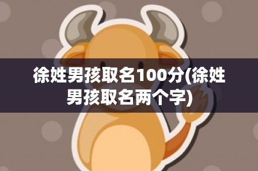 徐姓男孩取名100分(徐姓男孩取名两个字)