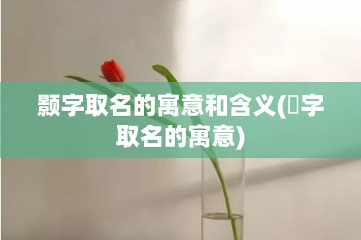 颢字取名的寓意和含义(婳字取名的寓意)