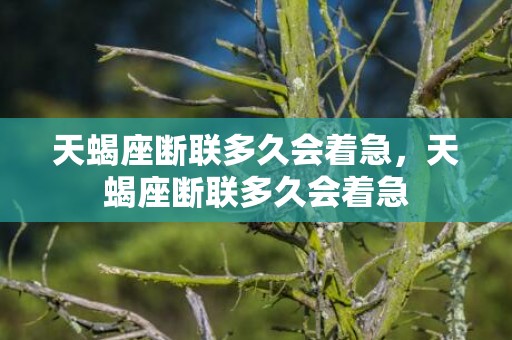 天蝎座断联多久会着急，天蝎座断联多久会着急