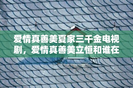 爱情真善美夏家三千金电视剧，爱情真善美立恒和谁在一起了？爱情真善美评价