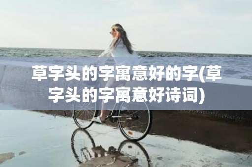 草字头的字寓意好的字(草字头的字寓意好诗词)