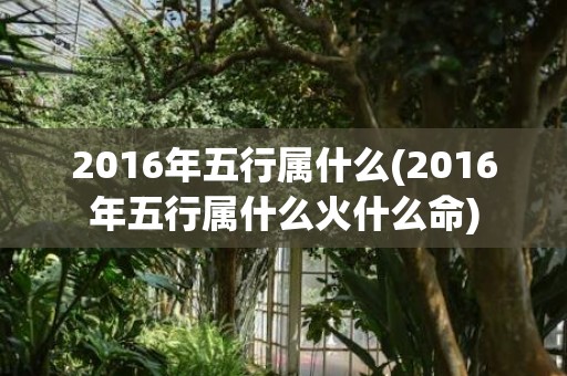 2016年五行属什么(2016年五行属什么火什么命)