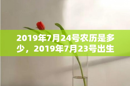 2019年7月24号农历是多少，2019年7月23号出生的男宝宝五行缺土要怎么样起名字