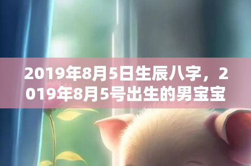 2019年8月5日生辰八字，2019年8月5号出生的男宝宝五行缺金要怎么起名字