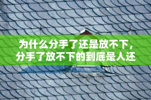 为什么分手了还是放不下，分手了放不下的到底是人还是回忆，分手了总是回忆过去怎么办