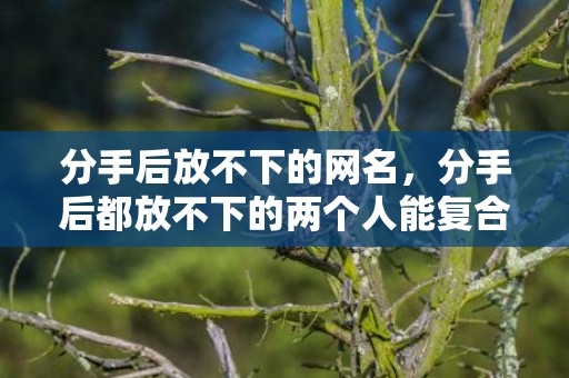 分手后放不下的网名，分手后都放不下的两个人能复合吗，哪种分手绝不可能复合