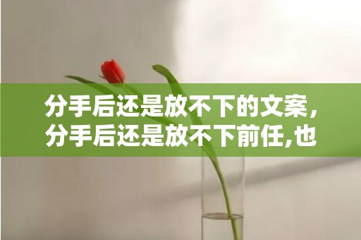 分手后还是放不下的文案，分手后还是放不下前任,也不愿意接受现在的事情？分手后放不下