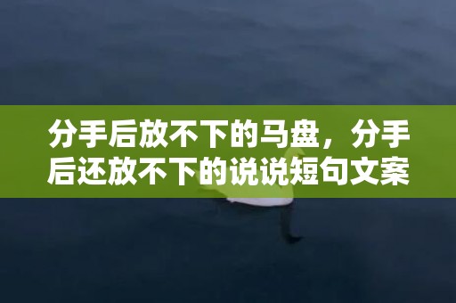 分手后放不下的马盘，分手后还放不下的说说短句文案搞笑 分手后舍不得对方怎么办