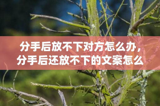 分手后放不下对方怎么办，分手后还放不下的文案怎么写好一点(分手后让对方心痛的文案)