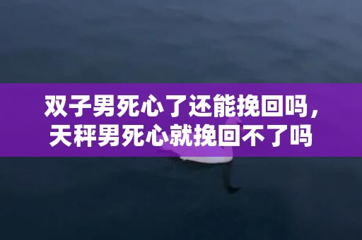 双子男死心了还能挽回吗，天秤男死心就挽回不了吗