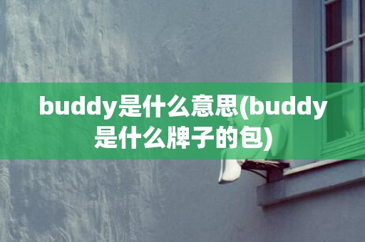 buddy是什么意思(buddy是什么牌子的包)