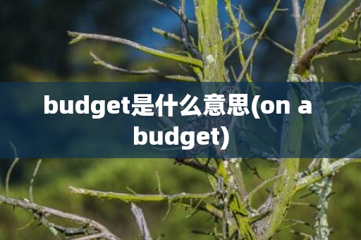 budget是什么意思(on a budget)