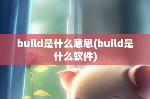 build是什么意思(build是什么软件)