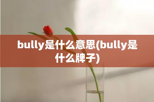 bully是什么意思(bully是什么牌子)