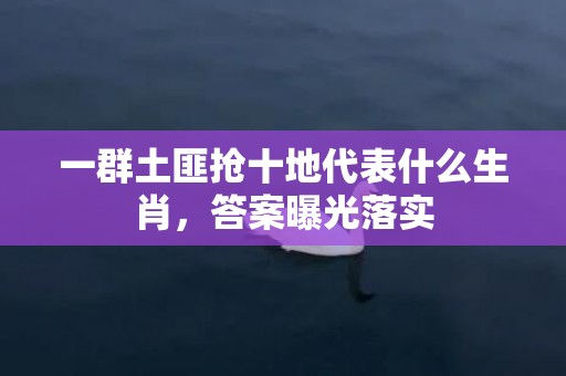 一群土匪抢十地代表什么生肖，答案曝光落实