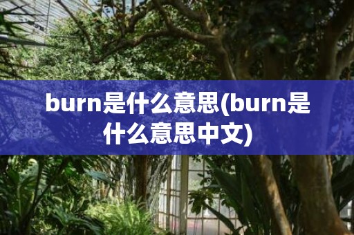 burn是什么意思(burn是什么意思中文)