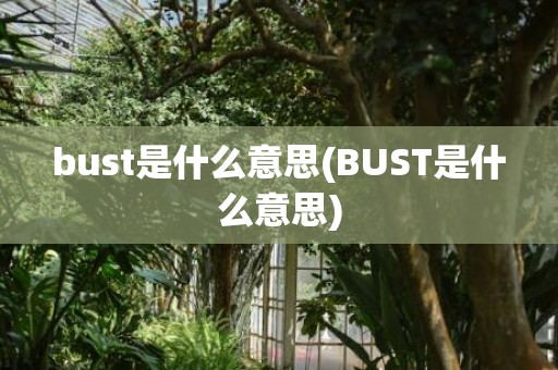 bust是什么意思(BUST是什么意思)