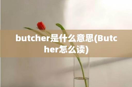 butcher是什么意思(Butcher怎么读)