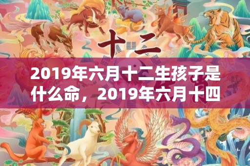 2019年六月十二生孩子是什么命，2019年六月十四出生的男孩怎样取名字，五行属什么