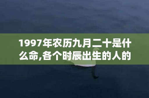 1997年农历九月二十是什么命,各个时辰出生的人的命运(1997年农历九月初八是什么星座)