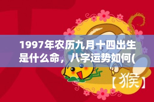 1997年农历九月十四出生是什么命，八字运势如何(1997年农历九月十五阳历是多少)